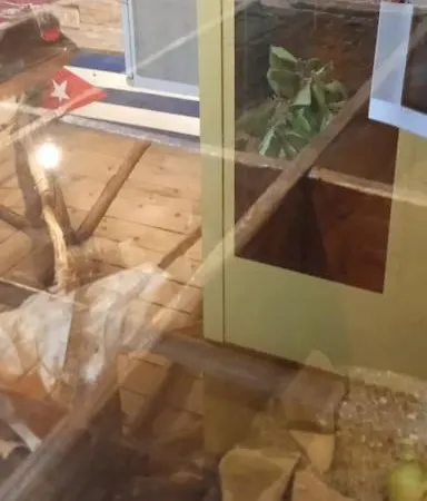 La Granada Loca 2 度假居 Amaliada