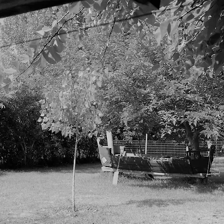 La Granada Loca 2 Amaliada